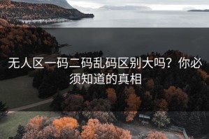 无人区一码二码乱码区别大吗？你必须知道的真相