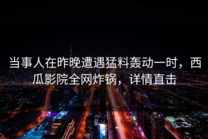当事人在昨晚遭遇猛料轰动一时，西瓜影院全网炸锅，详情直击