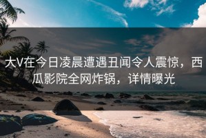 大V在今日凌晨遭遇丑闻令人震惊，西瓜影院全网炸锅，详情曝光