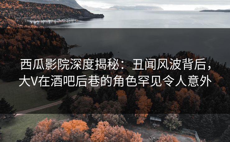 西瓜影院深度揭秘:丑闻风波背后,大V在酒吧后巷的角色罕见令人意外 西瓜影院深度揭秘:丑闻风波背后,大V在酒吧后巷的角色罕见令人意外