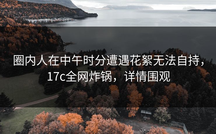 圈内人在中午时分遭遇花絮无法自持，17c全网炸锅，详情围观