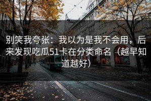 别笑我夸张：我以为是我不会用，后来发现吃瓜51卡在分类命名（越早知道越好）