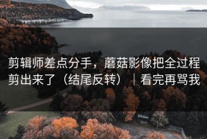 剪辑师差点分手，蘑菇影像把全过程剪出来了（结尾反转）｜看完再骂我