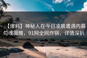 【爆料】神秘人在今日凌晨遭遇内幕勾魂摄魄，91网全网炸锅，详情深扒
