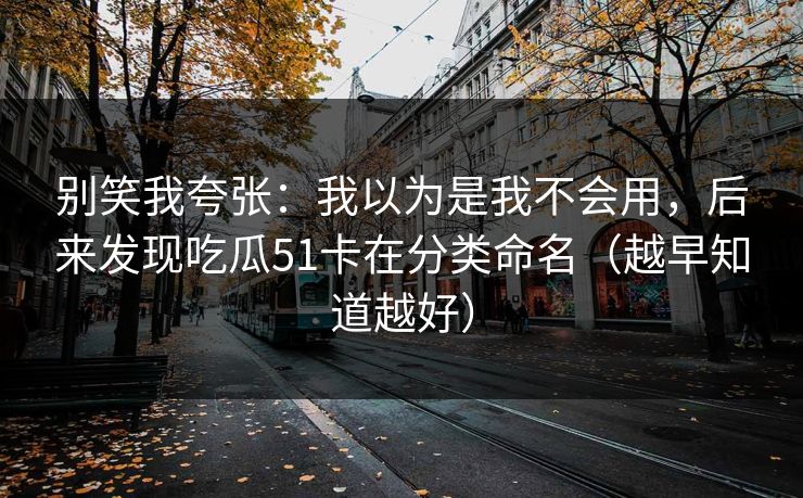别笑我夸张：我以为是我不会用，后来发现吃瓜51卡在分类命名（越早知道越好）